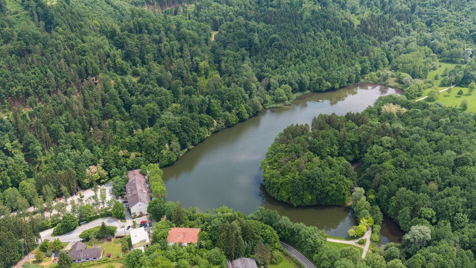 Thal - Impression #2.1