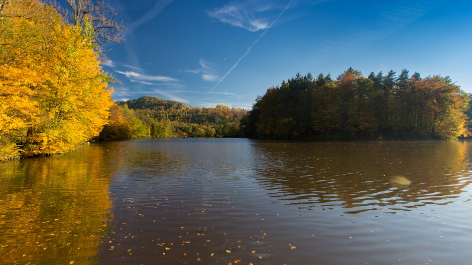 Thal - Impression #2.2