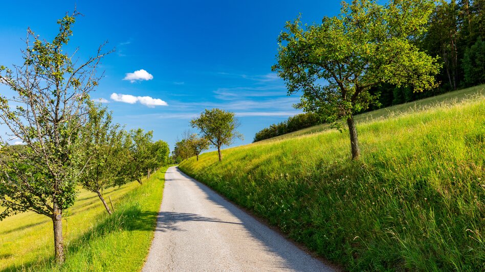 Weinitzen - Impression #2.4