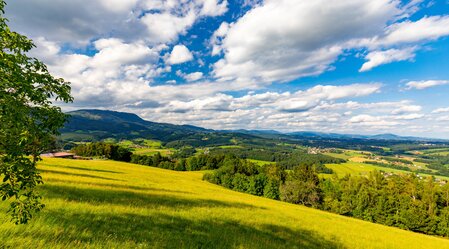 Wandern in Weinitzen | © TV Region Graz | Harry Schiffer