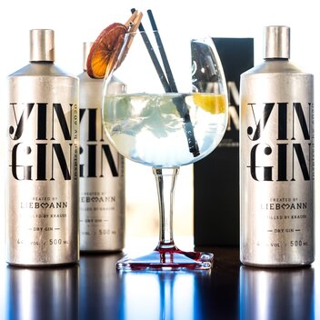Yin Gin | © TV Region Graz | Harry Schiffer