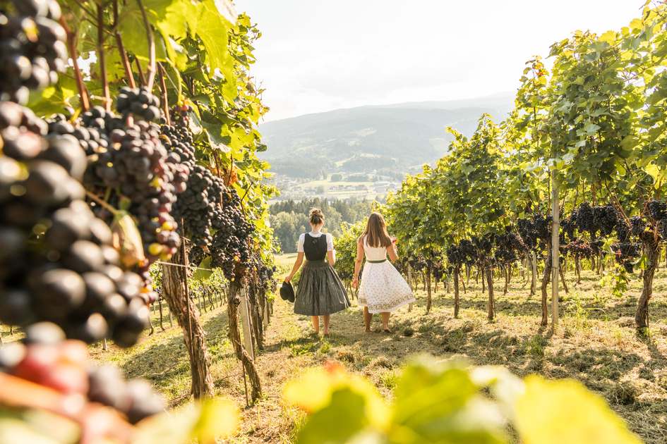 Ligist | © Die Abbilderei  Sajovic&Scherr GesbR | Die Abbilderei