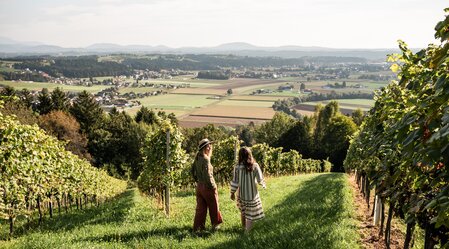 Weinberge in Ligist | © Region Graz | Mias Photoart