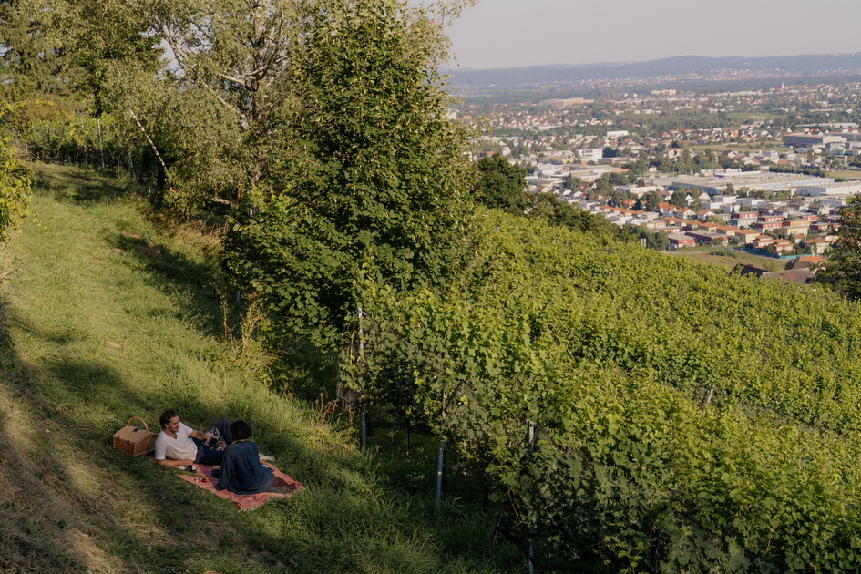 Beim Picknicken in Graz | © Region Graz | studio draussen