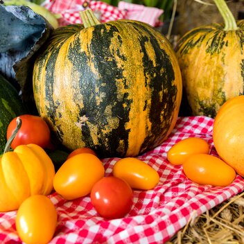 Kulinarium St. Radegund | © Graz Region | Harry Schiffer