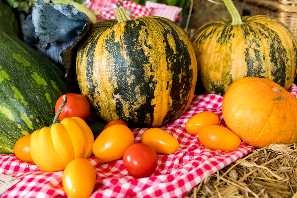 Kulinarium St. Radegund | © Graz Region | Harry Schiffer