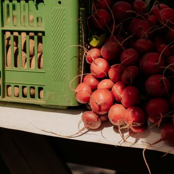 © Region Graz | studio draussen