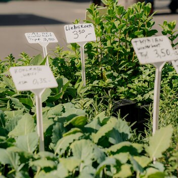 © Region Graz | studio draussen