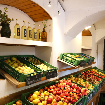 © Helene Fattinger | Helene Fattinger