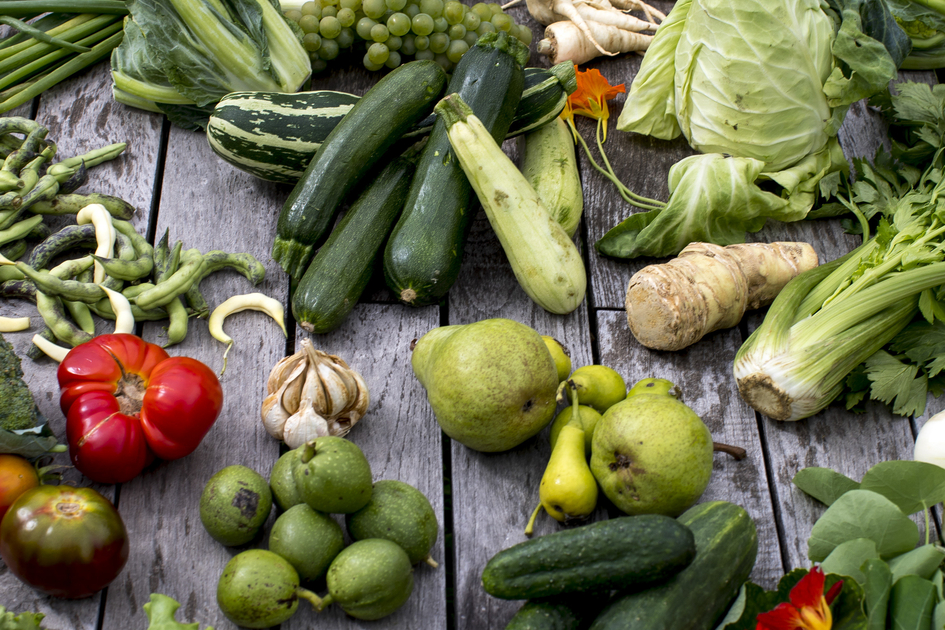 Die kulinarische Steiermark: Fülle und Vielfalt. | © Steiermark Tourismus / Tom Lamm | Tom Lamm