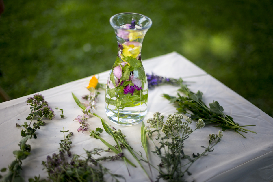 Essbare Naturschätze | © Steiermark Tourismus / ikarus.cc | Tom Lamm