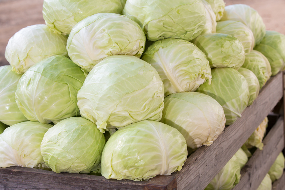 © Harry Schiffer Photodesign | Harry Schiffer