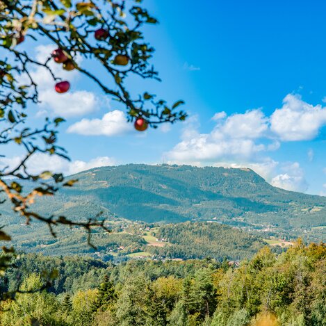 Schaf- und Stieftingtal | © Graz Tourismus | Mias Photoart