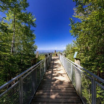 Buchkogel | © Graz Tourismus | Harry Schiffer