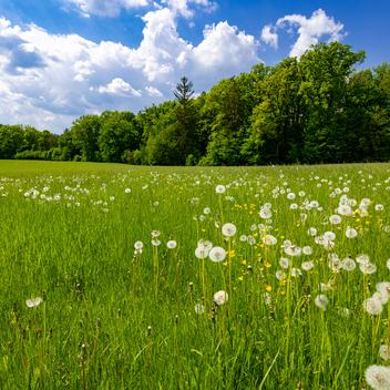 Ulrichsbrunn | © Graz Tourismus | Harry Schiffer