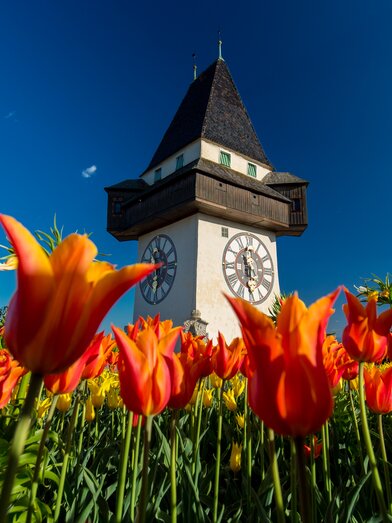 Grazer Uhrturm im Frühling | © Graz Tourismus | Harry Schiffer