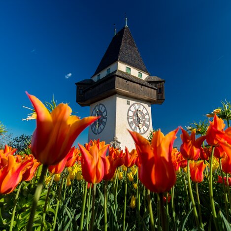 Clock Tower Graz | © Graz Tourismus | Harry Schiffer