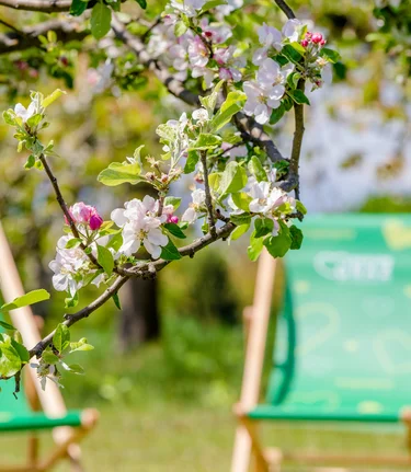 Springtime | © TV Erlebnisregion Graz | Mias Photoart