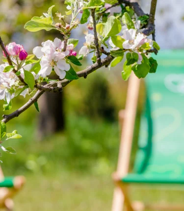 Springtime | © TV Erlebnisregion Graz | Mias Photoart