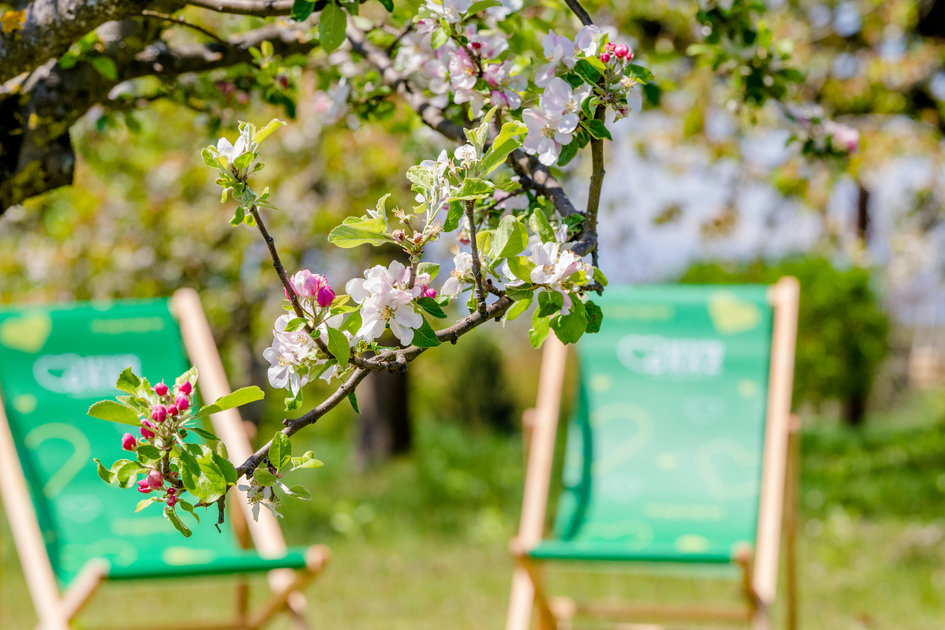 Wohlfühlplatzerl in der Region Graz | © TV Region Graz | Mias Photoart
