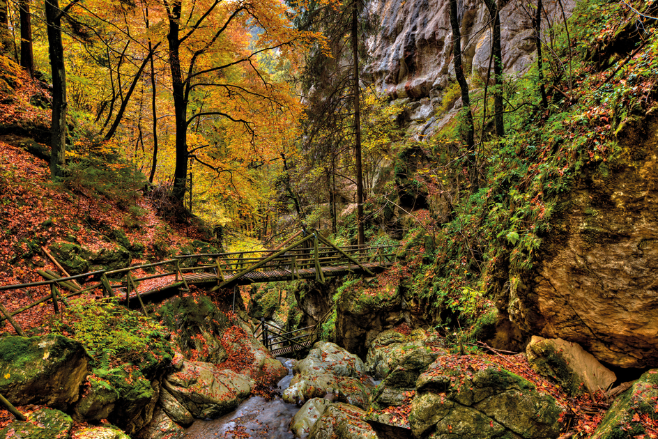 © Steiermark Tourismus GmbH | Steiermark Tourismus GmbH