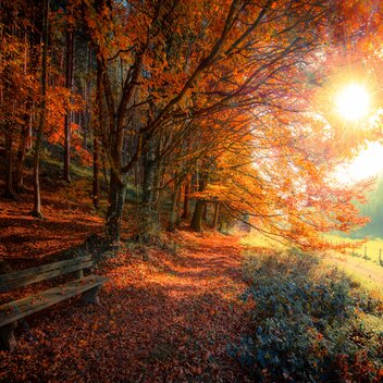 Herbstwandern in der Region Graz | Pater Martin