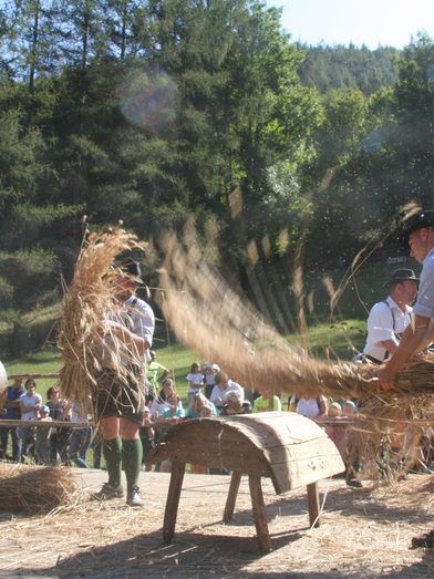 Erlebnistag Stübing | © ÖFM - UMJ