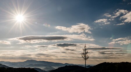 Grazer Bergland | © TV Region Graz | Mias Photoart