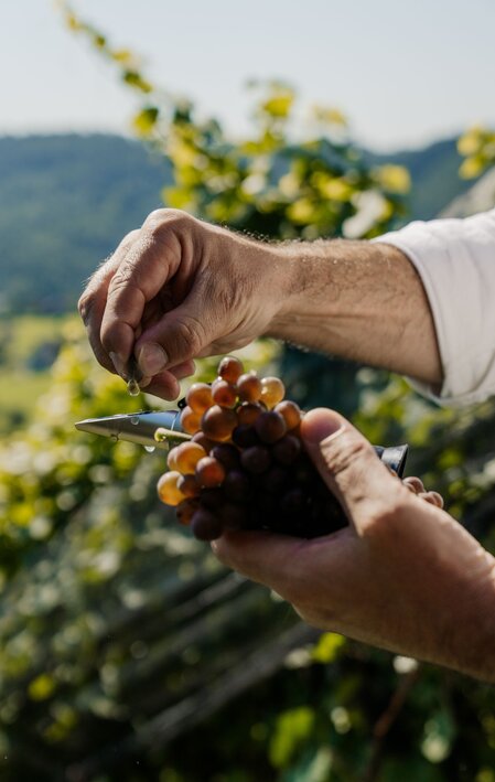 © Region Graz | studio draussen