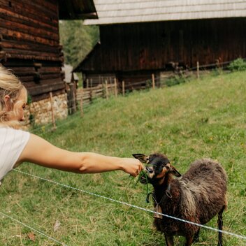 © Region Graz | studio draussen