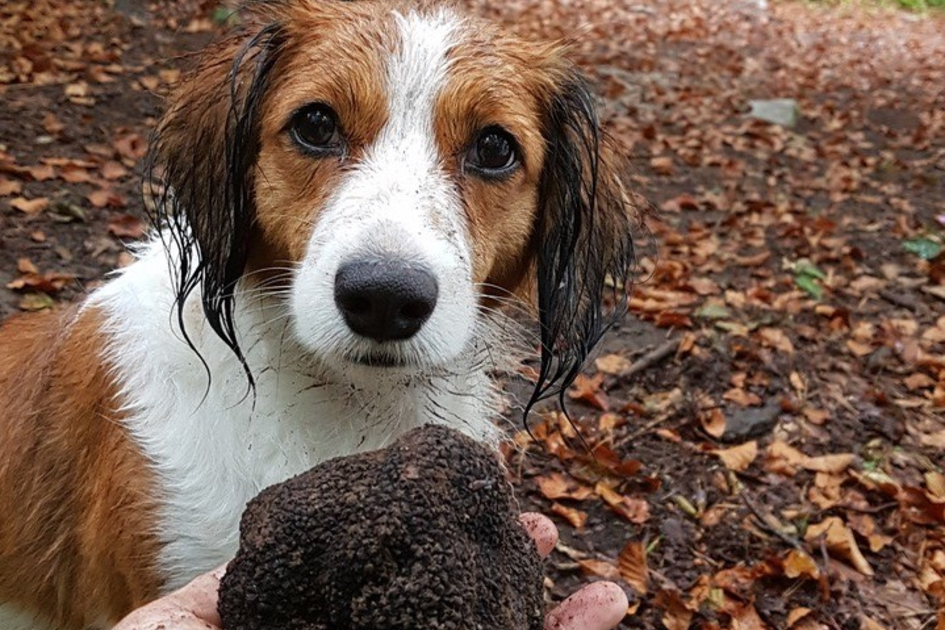 © Marion Weissenbrunner | Marion Weissenbrunner