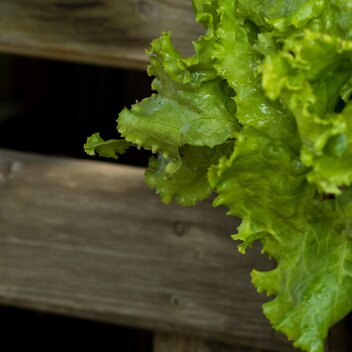 © Region Graz | Harry Schiffer