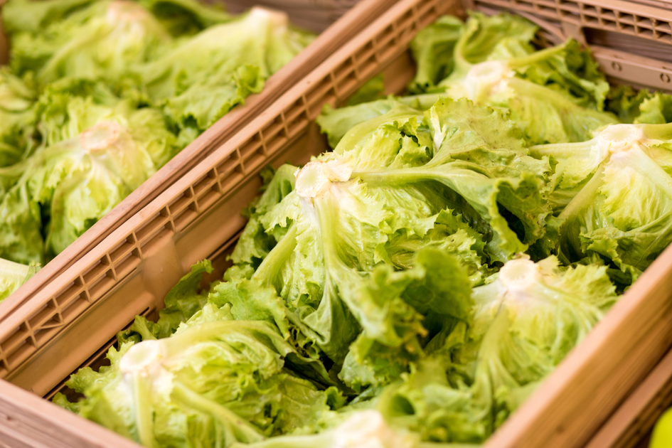 © Region Graz | Harry Schiffer