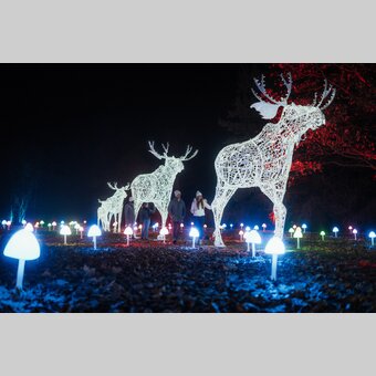 LUMAGICA Frohnleiten | © Region Graz | studio draussen