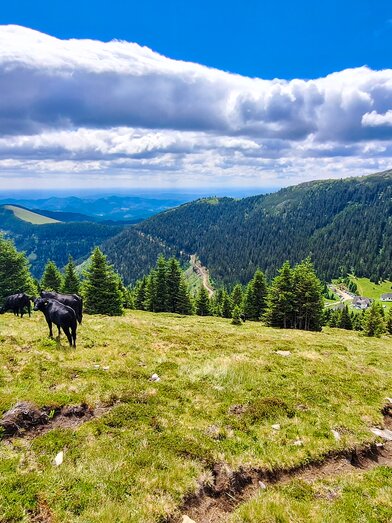 Blick vom Gleinalmspeik | © Verena Menapace | Verena Menapace