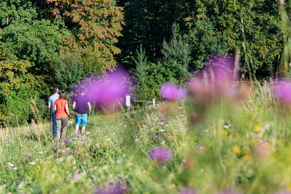 Erlebnisweg sebastian RELOADED® | © TV Region Graz | Mias Photoart