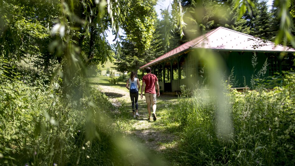 Laßnitzhöhe - Impression #2.1