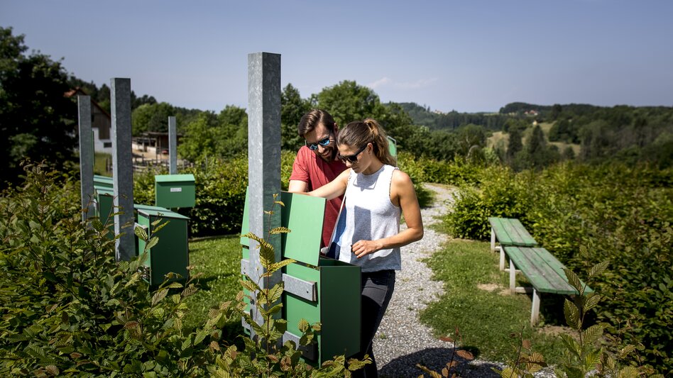 Laßnitzhöhe - Impression #2.8