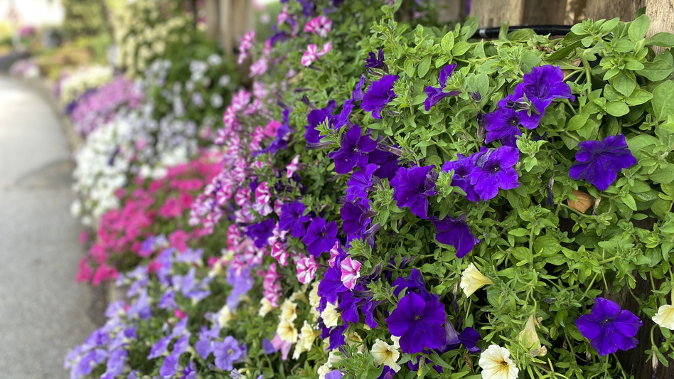 Laßnitzhöhe - Impression #2.3