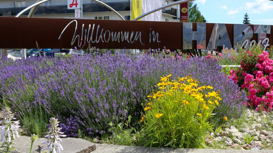 Hart bei Graz - Impression #2.12