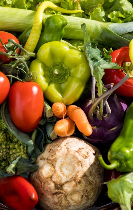 GenussBauernhof Hillebrand | © TV Region Graz | Harry Schiffer