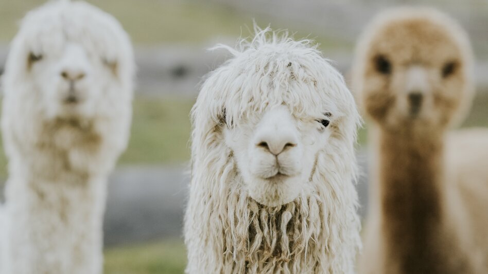 Vasoldsberg - Impression #2.3