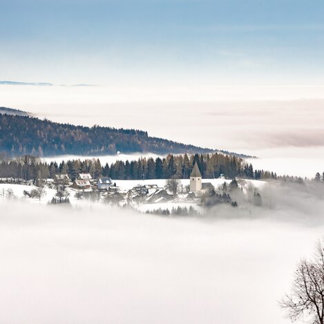 Freiland ob Deutschlandsberg im Wintergewand | © TV Südsteiermark | Lupi Spuma