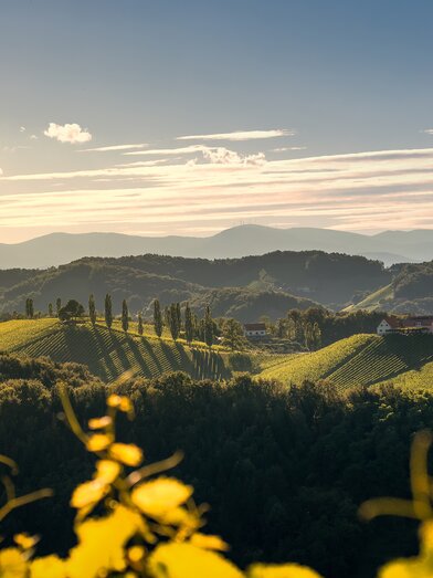 © Südsteiermark | Wolfgang Jauk
