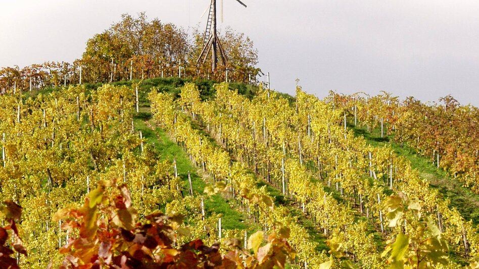 Deutschlandsberg - Impression #2.4