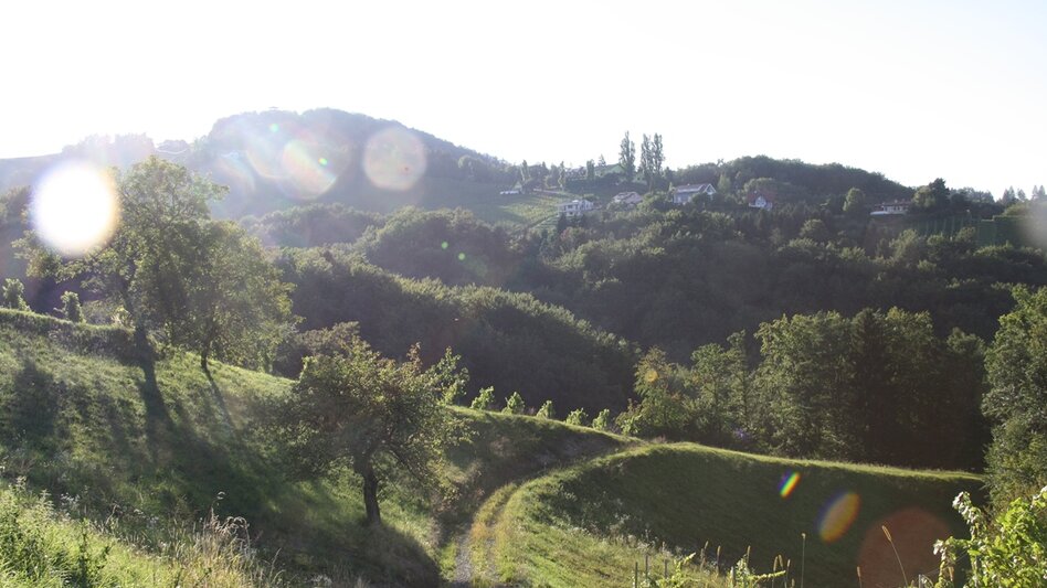 Großklein - Impression #2.3