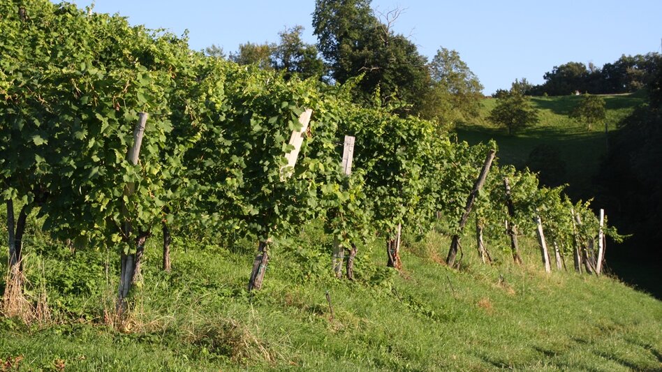 Großklein - Impression #2.8