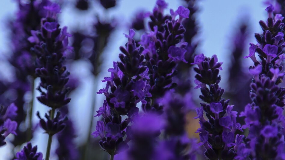 Kitzeck im Sausal - Impression #2.3