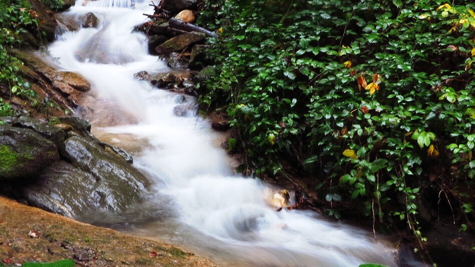 Leutschach an der Weinstraße - Impression #2.2