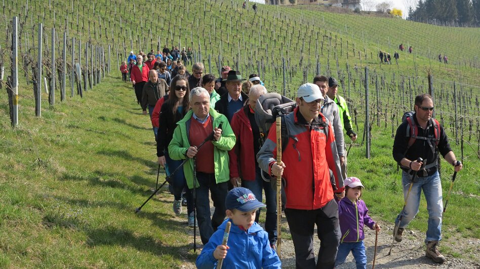 Leutschach an der Weinstraße - Impression #2.6